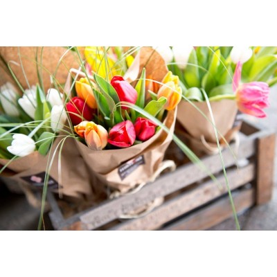 Bouquet de fleurs - Tulipes